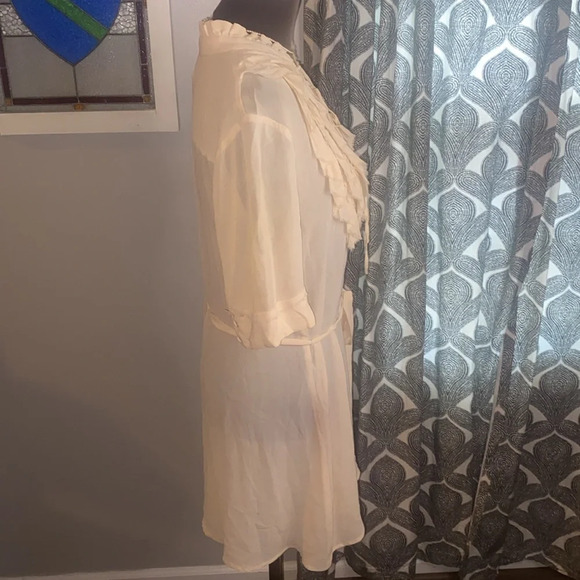 Project Alabama 100% silk sheer mini dress - Picture 5 of 7